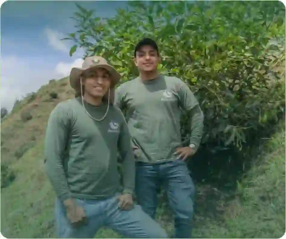 Trabajadores de Avovite en el campo de aguacates